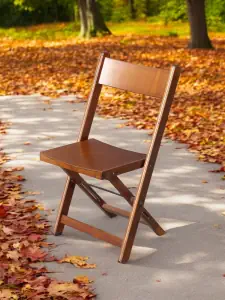 Holzklappstuhl in Braun im Herbst